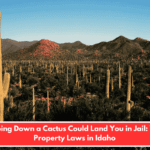 Chopping Down a Cactus Could Land You in Jail: Weird Property Laws in Idaho