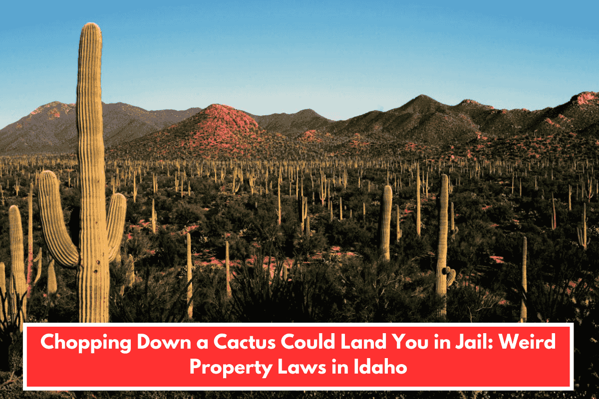 Chopping Down a Cactus Could Land You in Jail: Weird Property Laws in Idaho