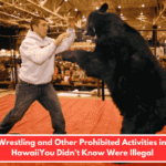 Bear Wrestling and Other Prohibited Activities in West HawaiiYou Didn't Know Were Illegal