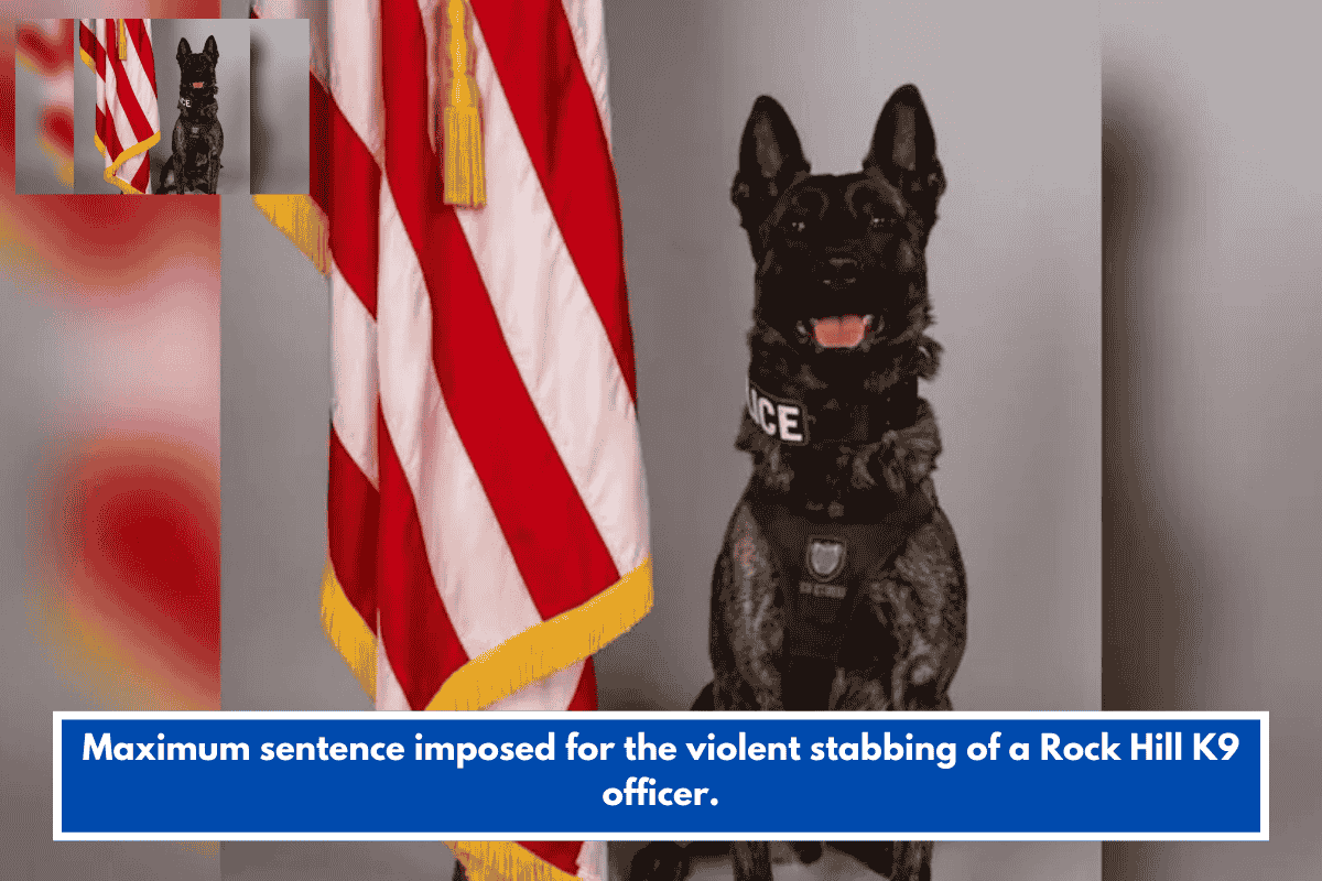 Maximum sentence imposed for the violent stabbing of a Rock Hill K9 officer.