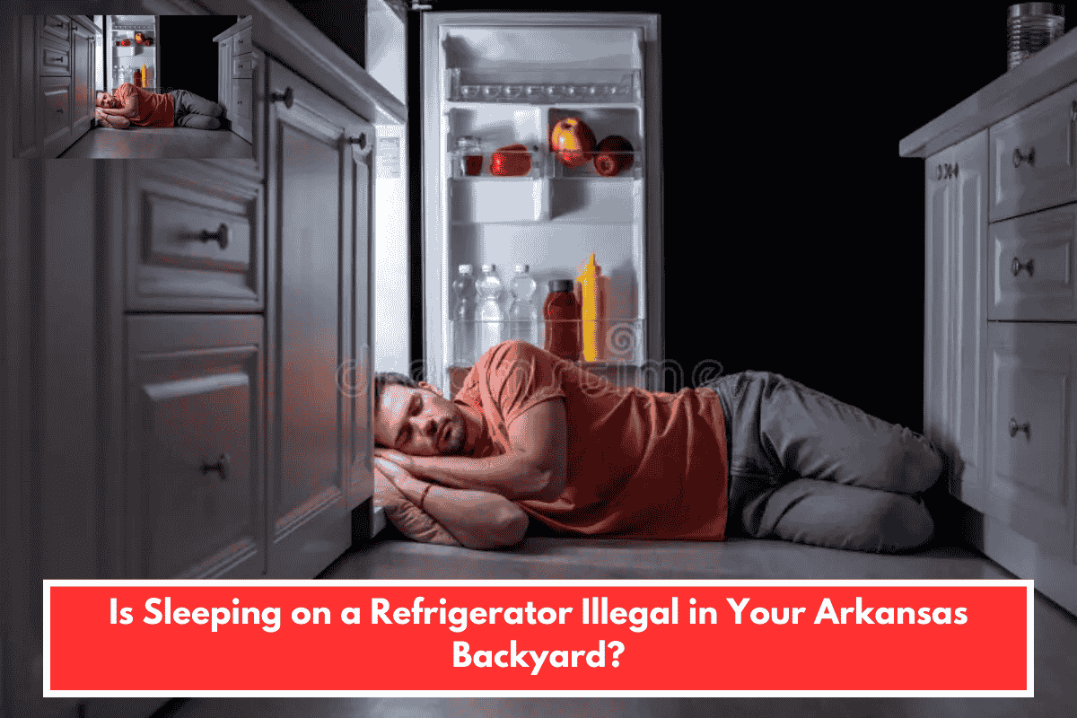 Is Sleeping on a Refrigerator Illegal in Your Arkansas Backyard?