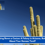 Chopping Down a Cactus: A Felony in Arizona, But What About Your Kansas Yard?