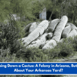 Chopping Down a Cactus: A Felony in Arizona, But What About Your Arkansas Yard?
