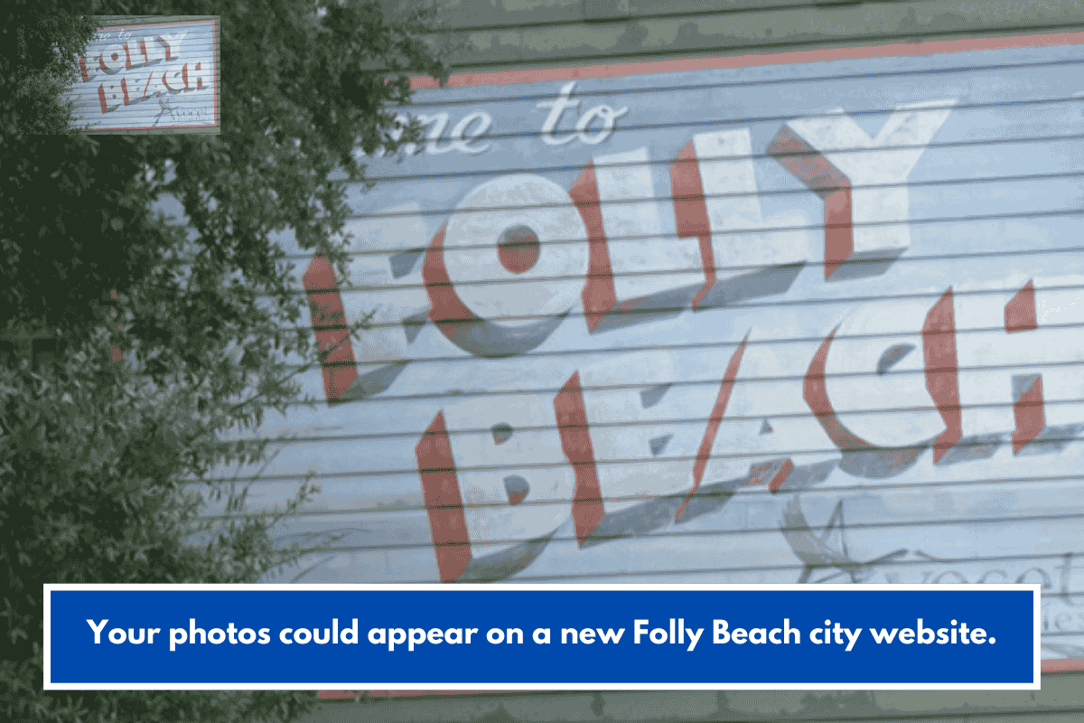 Your photos could appear on a new Folly Beach city website.