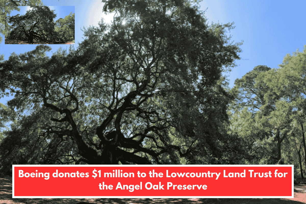 Boeing donates $1 million to the Lowcountry Land Trust for the Angel Oak Preserve