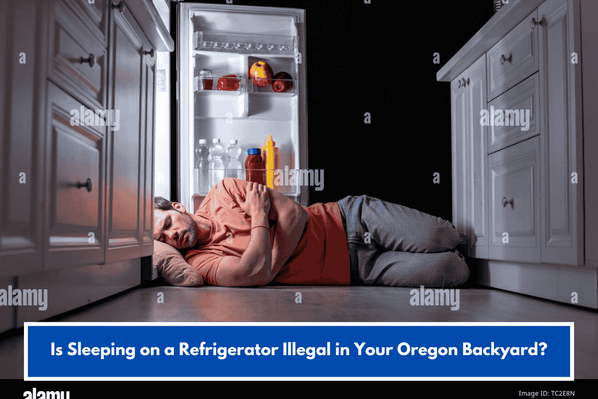 Is Sleeping on a Refrigerator Illegal in Your Oregon Backyard?