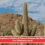 Chopping Down a Cactus: A Felony in Arizona, But What About Your Oklahoma Yard?
