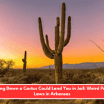 Chopping Down a Cactus Could Land You in Jail: Weird Property Laws in Arkansas