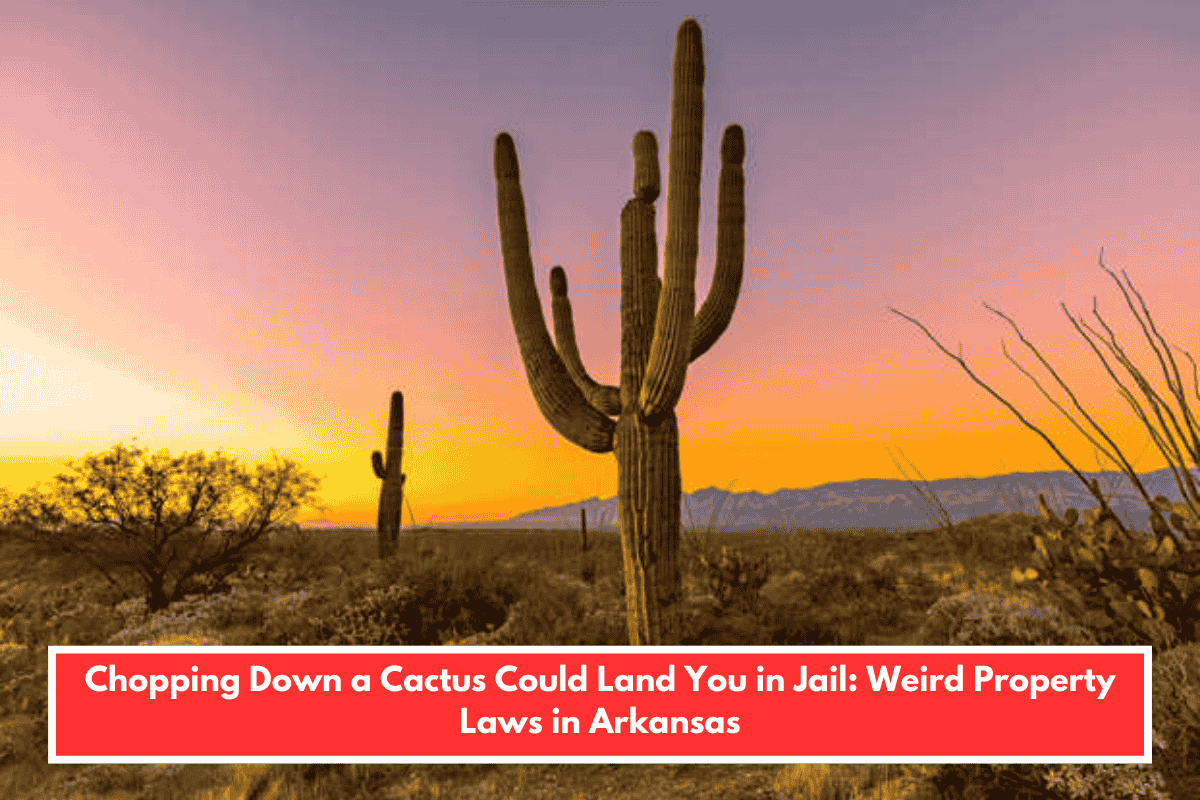 Chopping Down a Cactus Could Land You in Jail: Weird Property Laws in Arkansas