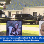 New homeowner's renovations find the bodies of a couple hidden in a shed by a former flatmate.