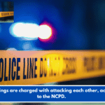 Two siblings are charged with attacking each other, according to the NCPD.