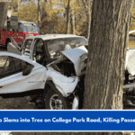 Pickup Slams into Tree on College Park Road, Killing Passenger