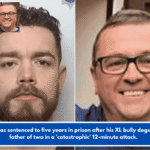 A man was sentenced to five years in prison after his XL bully dogs killed a father of two in a 'catastrophic' 12-minute attack.