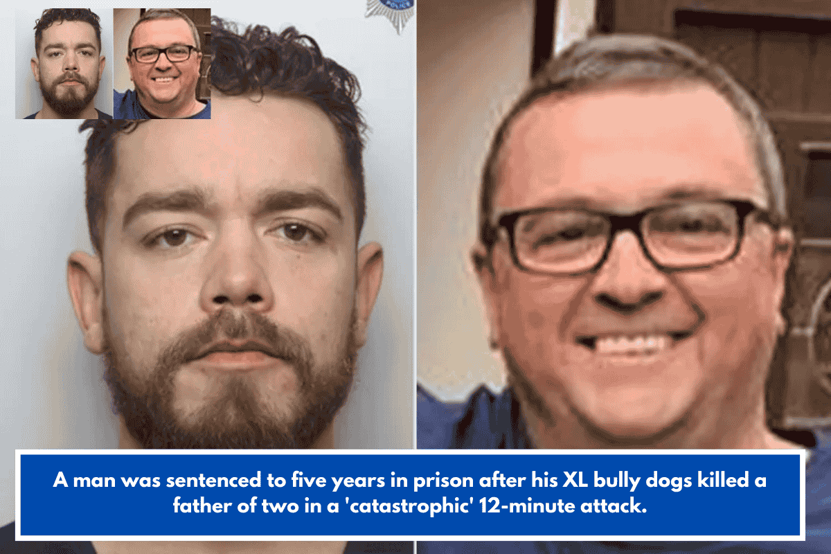 A man was sentenced to five years in prison after his XL bully dogs killed a father of two in a 'catastrophic' 12-minute attack.