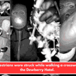 Two pedestrians were struck while walking a crosswalk near the Dewberry Hotel.