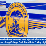 One person died and another was injured after a truck struck a tree along College Park Road late Friday night.