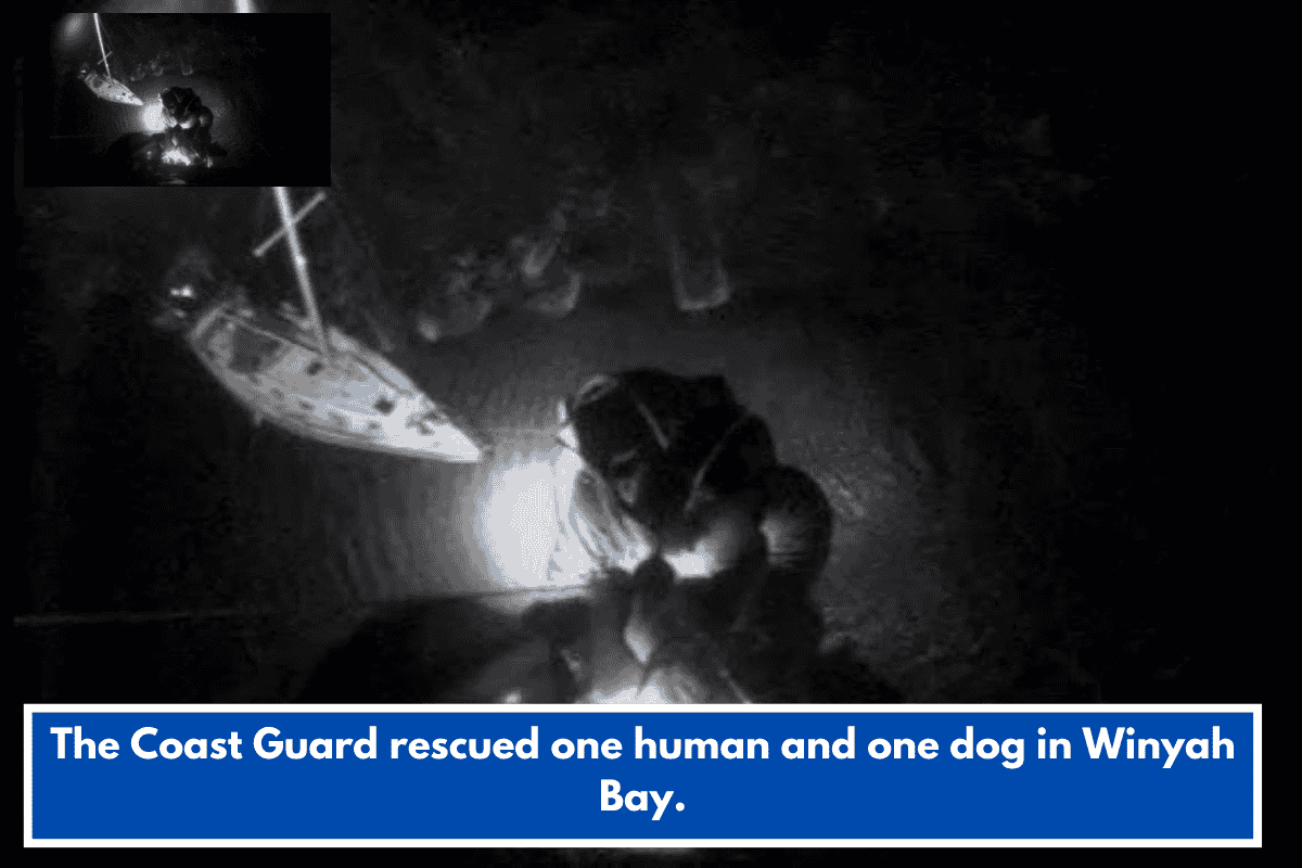 The Coast Guard rescued one human and one dog in Winyah Bay.