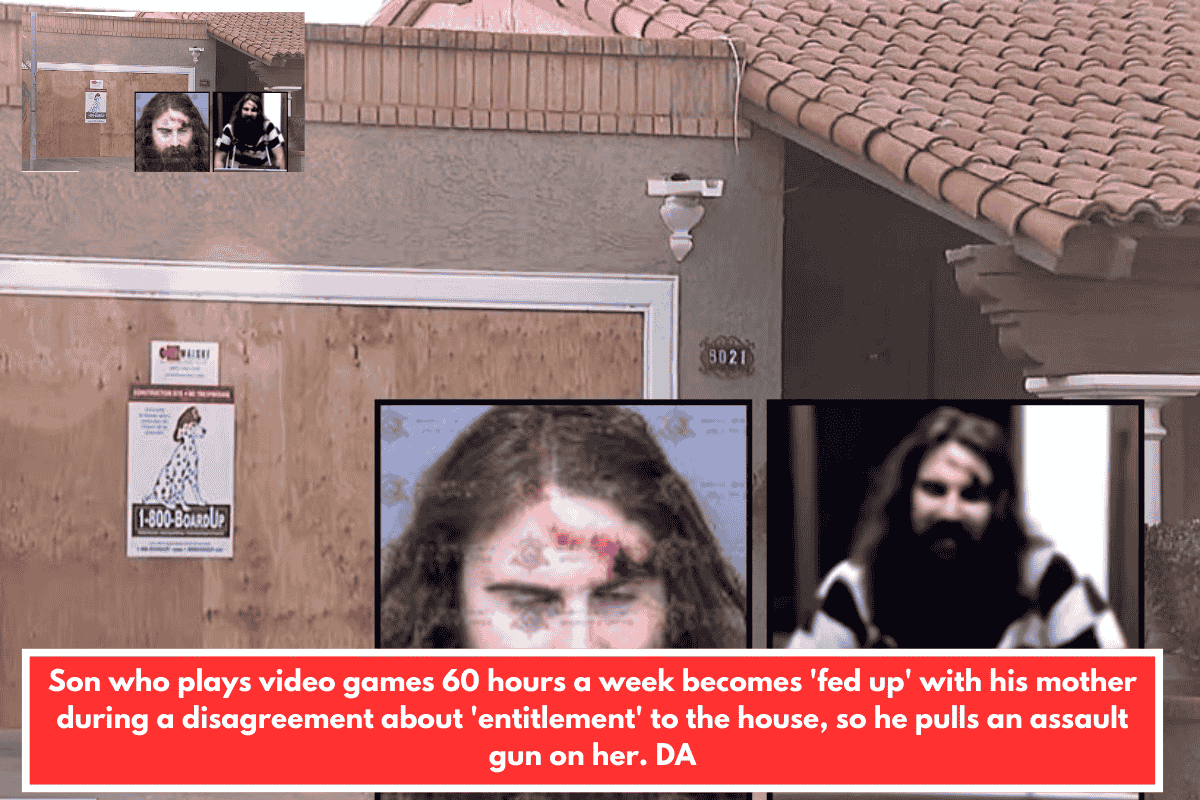Son who plays video games 60 hours a week becomes 'fed up' with his mother during a disagreement about 'entitlement' to the house, so he pulls an assault gun on her. DA