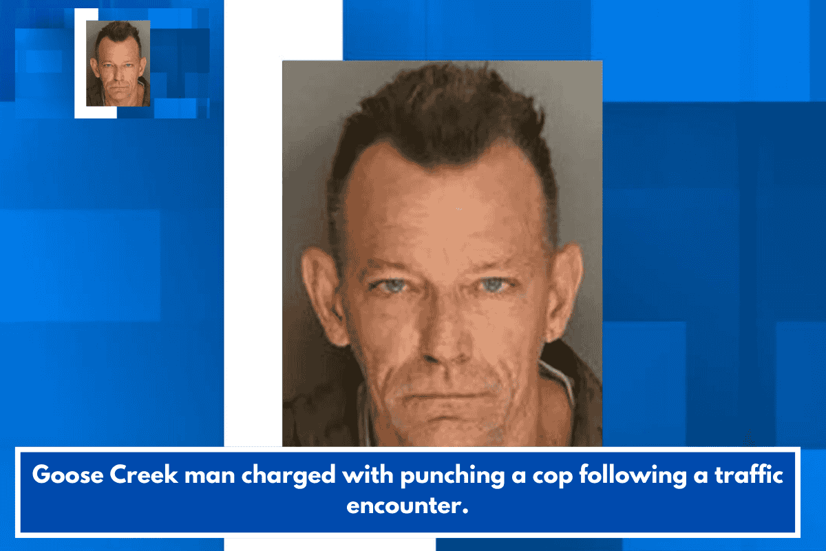 Goose Creek man charged with punching a cop following a traffic encounter.