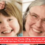 Man allegedly drove a car into a family, killing a three-year-old in a pink wagon and critically injuring a 72-year-old who was trying to save them.