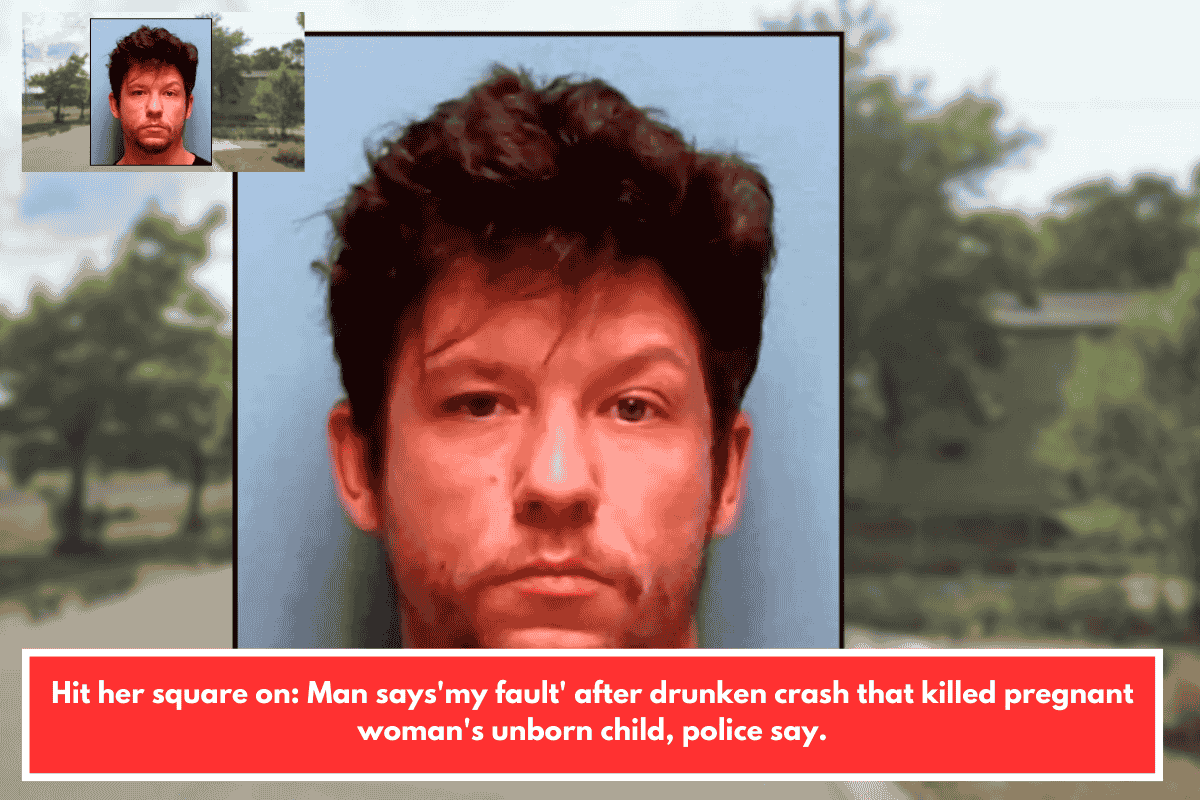 Hit her square on: Man says'my fault' after drunken crash that killed pregnant woman's unborn child, police say.