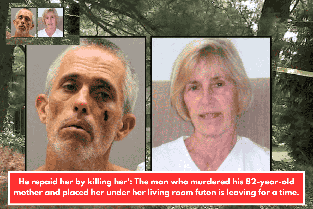 He repaid her by killing her': The man who murdered his 82-year-old mother and placed her under her living room futon is leaving for a time.