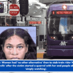 Lawyer: Woman had 'no other alternative' than to stab train rider 14 times with'steak knife' after the victim started a quarrel with her and people aboard were 'simply watching'.