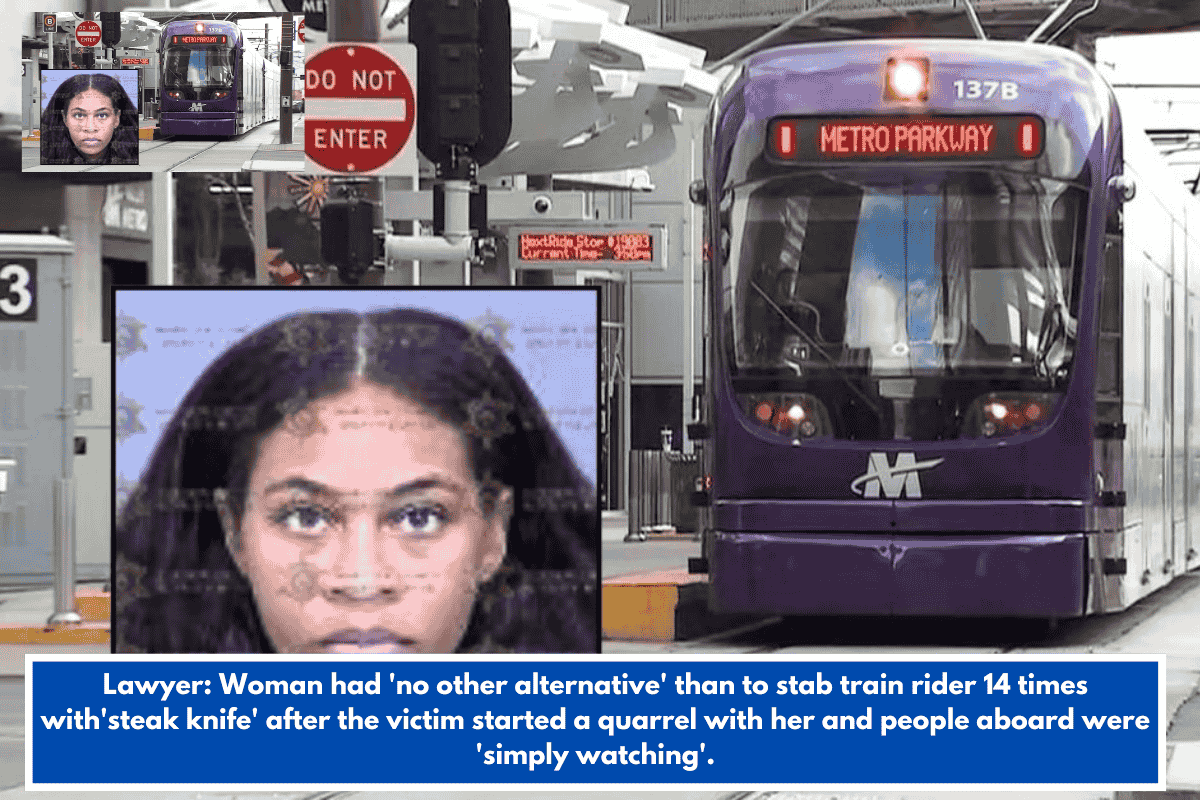 Lawyer: Woman had 'no other alternative' than to stab train rider 14 times with'steak knife' after the victim started a quarrel with her and people aboard were 'simply watching'.