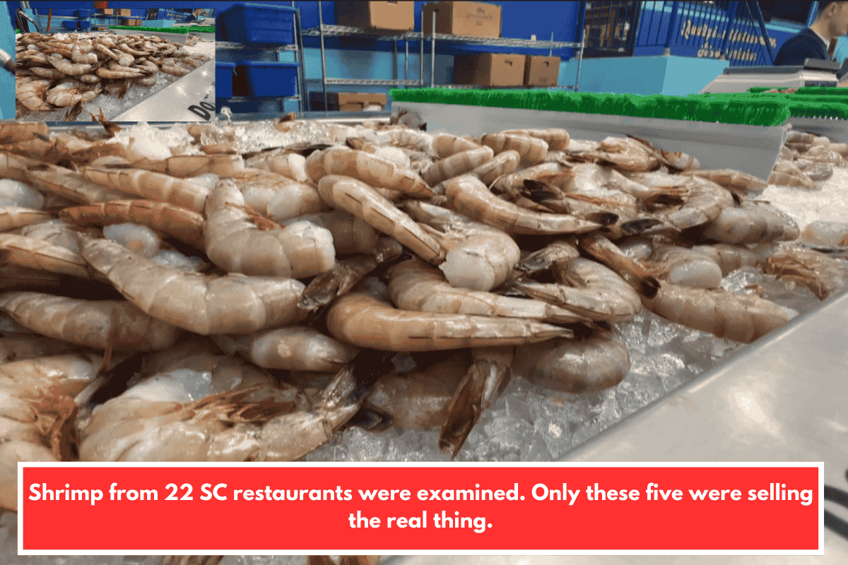 Shrimp from 22 SC restaurants were examined. Only these five were selling the real thing.