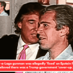 The Mar-a-Lago gunman was allegedly 'fixed' on Epstein files and believed there was a Trump government 'cover-up.'