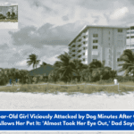 One-Year-Old Girl Viciously Attacked by Dog Minutes After Owner Allows Her Pet It: 'Almost Took Her Eye Out,' Dad Says