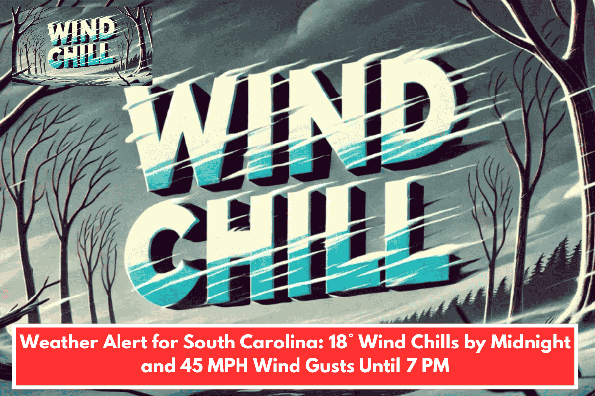 Weather Alert for South Carolina: 18° Wind Chills by Midnight and 45 MPH Wind Gusts Until 7 PM