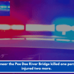 A crash near the Pee Dee River Bridge killed one person and injured two more.