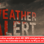 South Carolina weather alert: 40+ MPH wind gusts might bring down trees in the Columbia area. 8 a.m. to 10 p.m. on Sunday