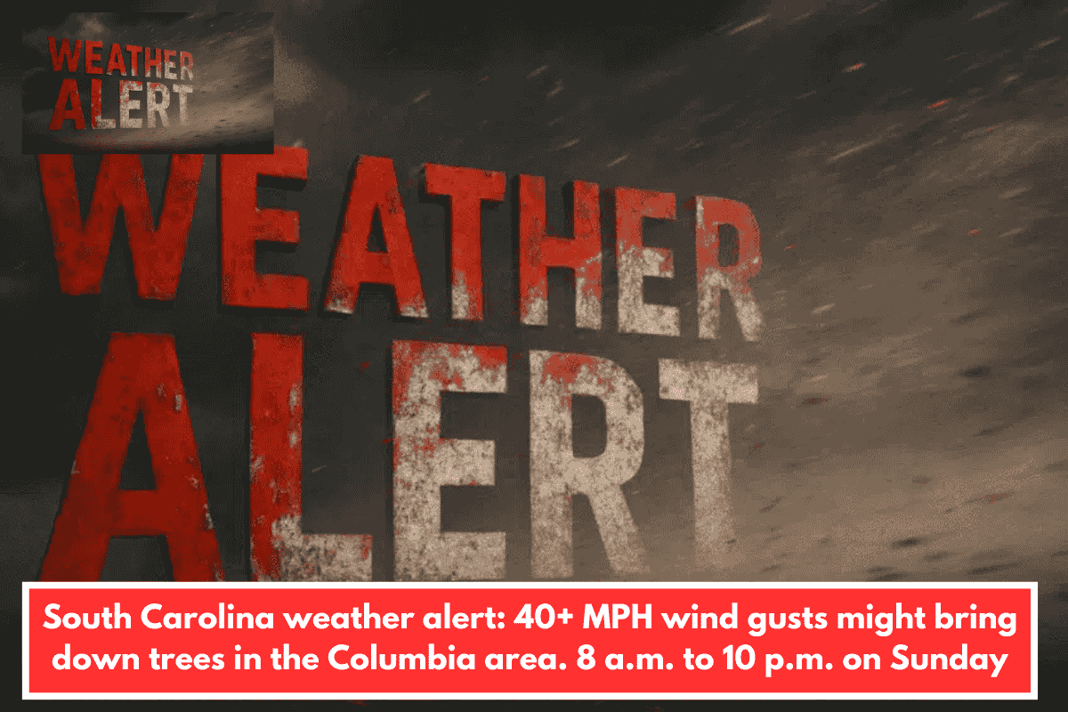 South Carolina weather alert: 40+ MPH wind gusts might bring down trees in the Columbia area. 8 a.m. to 10 p.m. on Sunday
