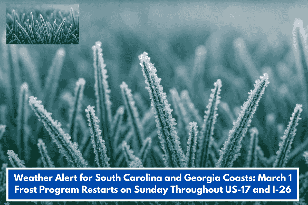 Weather Alert for South Carolina and Georgia Coasts: March 1 Frost Program Restarts on Sunday Throughout US-17 and I-26