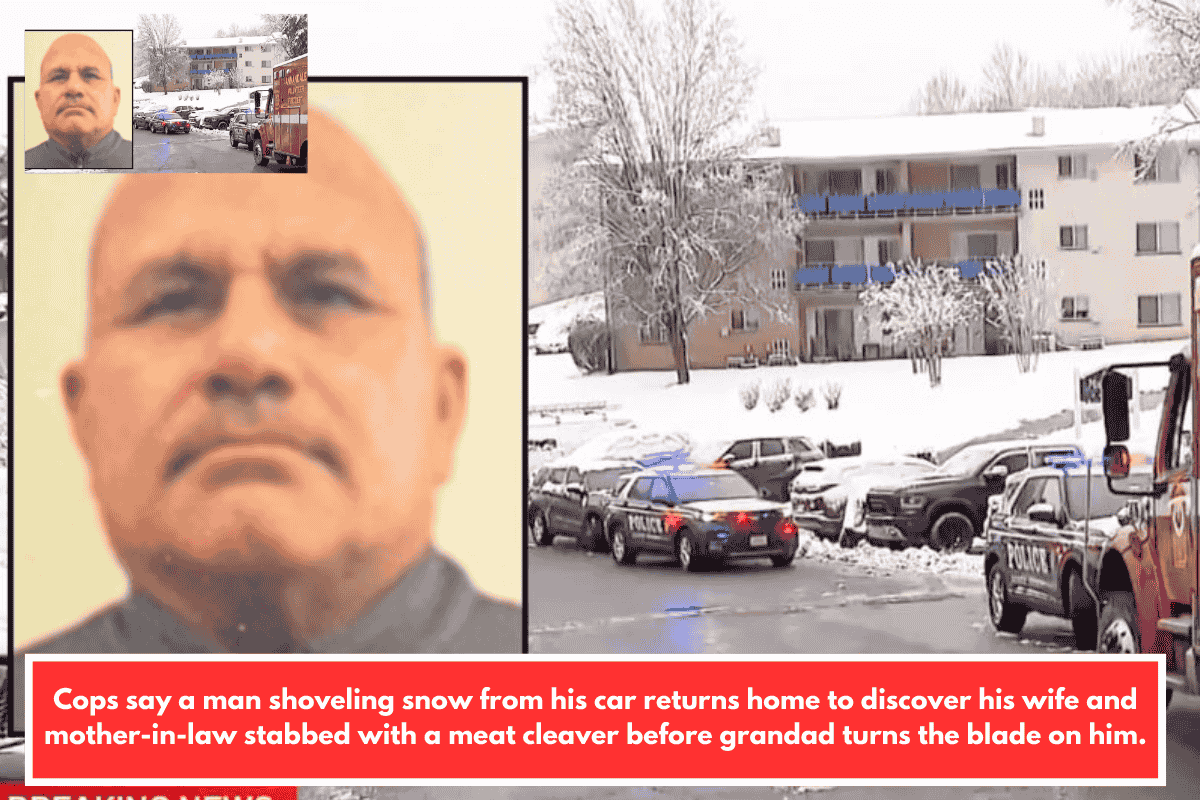 Cops say a man shoveling snow from his car returns home to discover his wife and mother-in-law stabbed with a meat cleaver before grandad turns the blade on him.