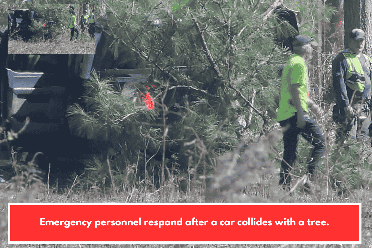 Emergency personnel respond after a car collides with a tree.