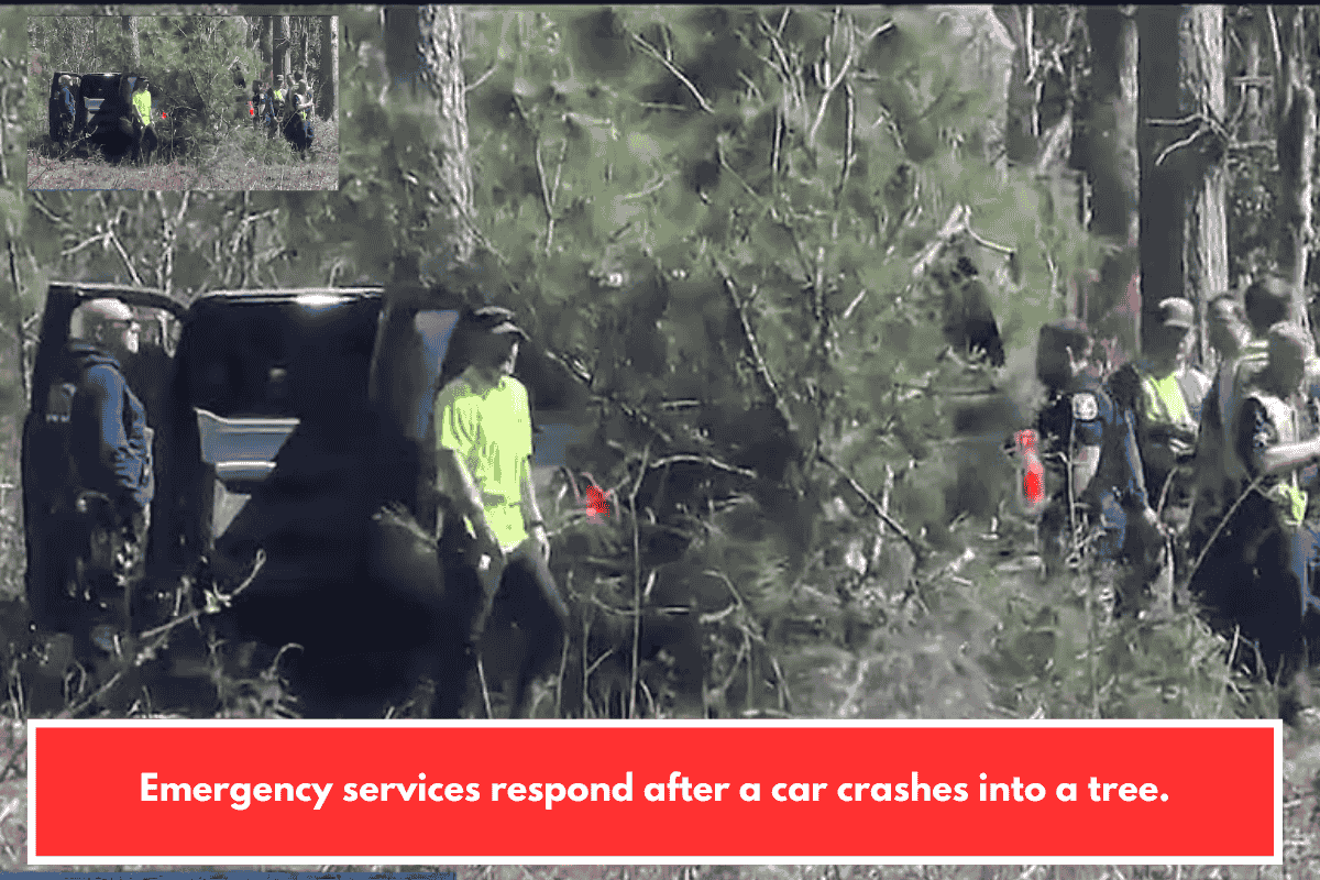 Emergency services respond after a car crashes into a tree.