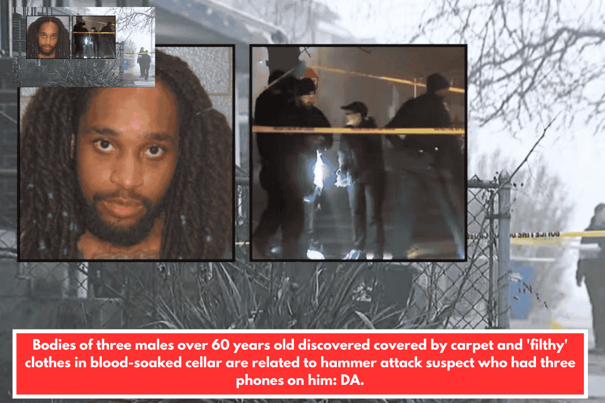Bodies of three males over 60 years old discovered covered by carpet and 'filthy' clothes in blood-soaked cellar are related to hammer attack suspect who had three phones on him: DA.