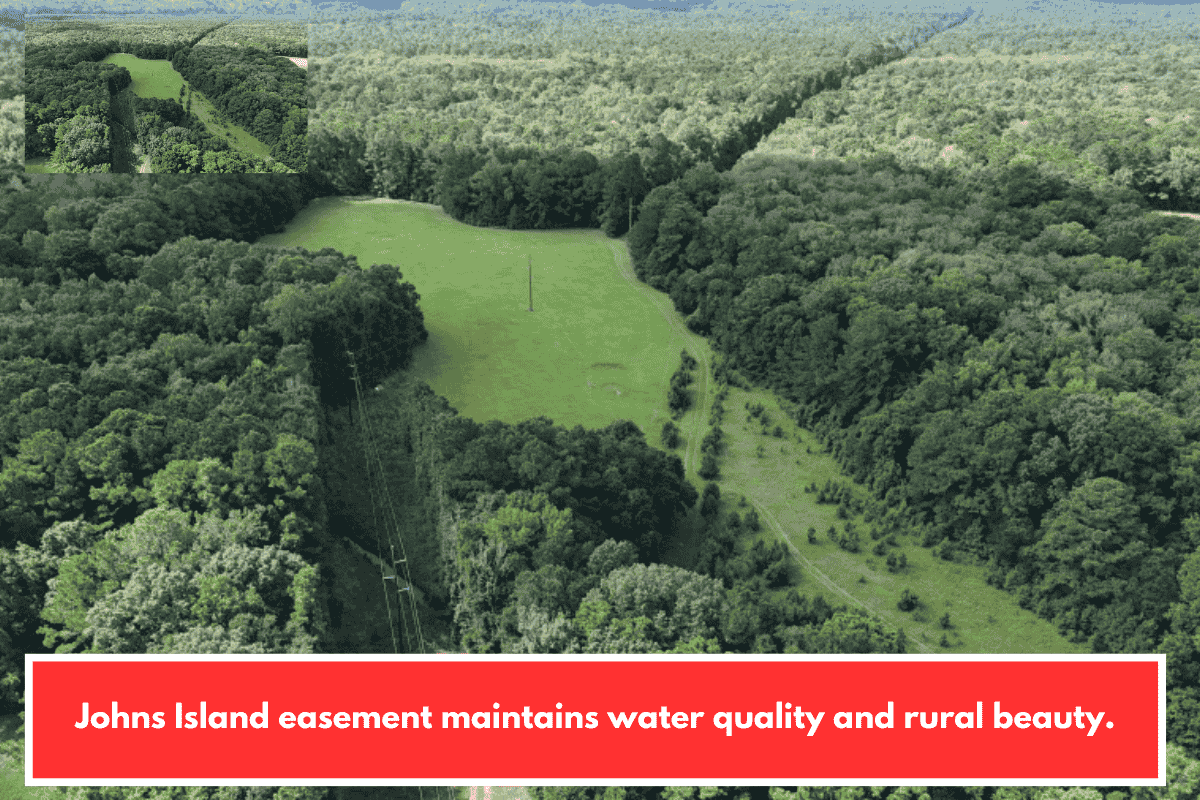 Johns Island easement maintains water quality and rural beauty.