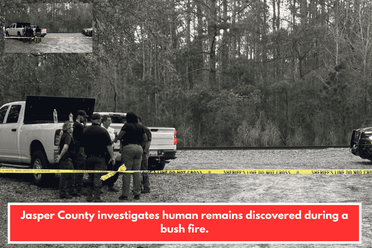 Jasper County investigates human remains discovered during a bush fire.