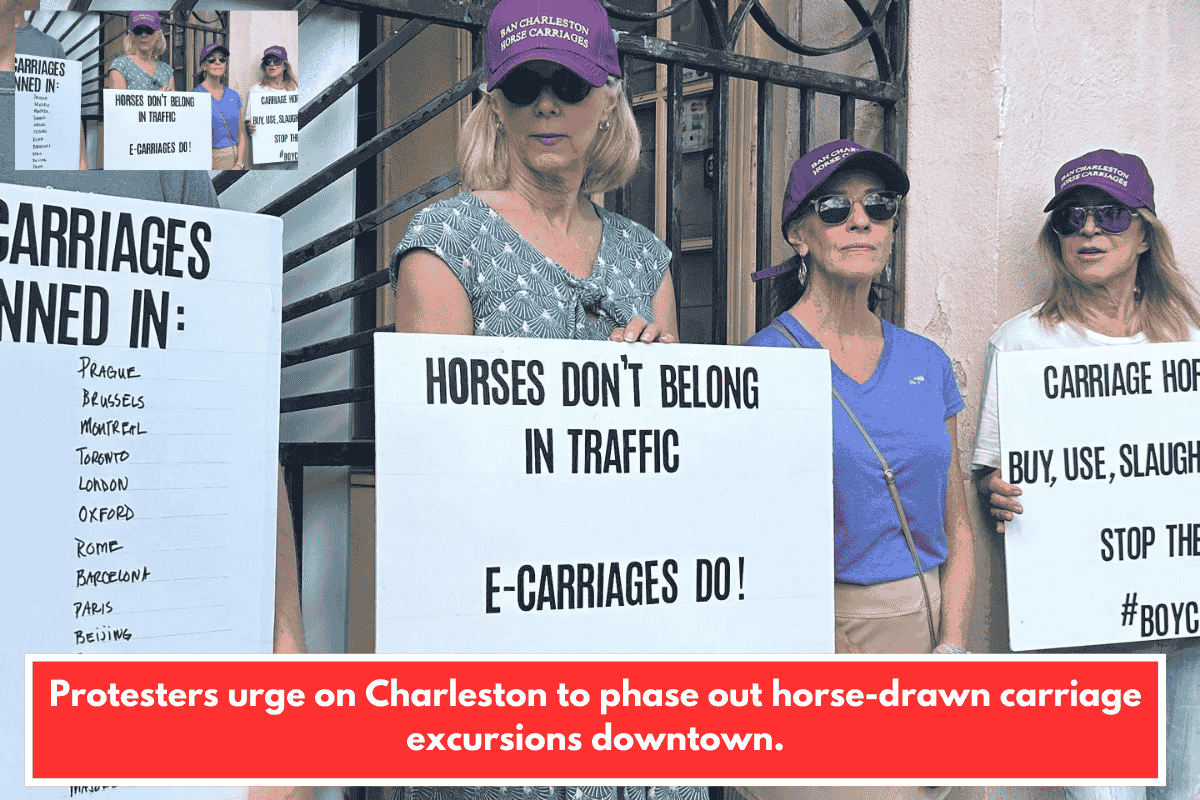 Protesters urge on Charleston to phase out horse-drawn carriage excursions downtown.