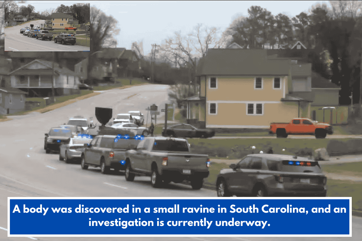 A body was discovered in a small ravine in South Carolina, and an investigation is currently underway.