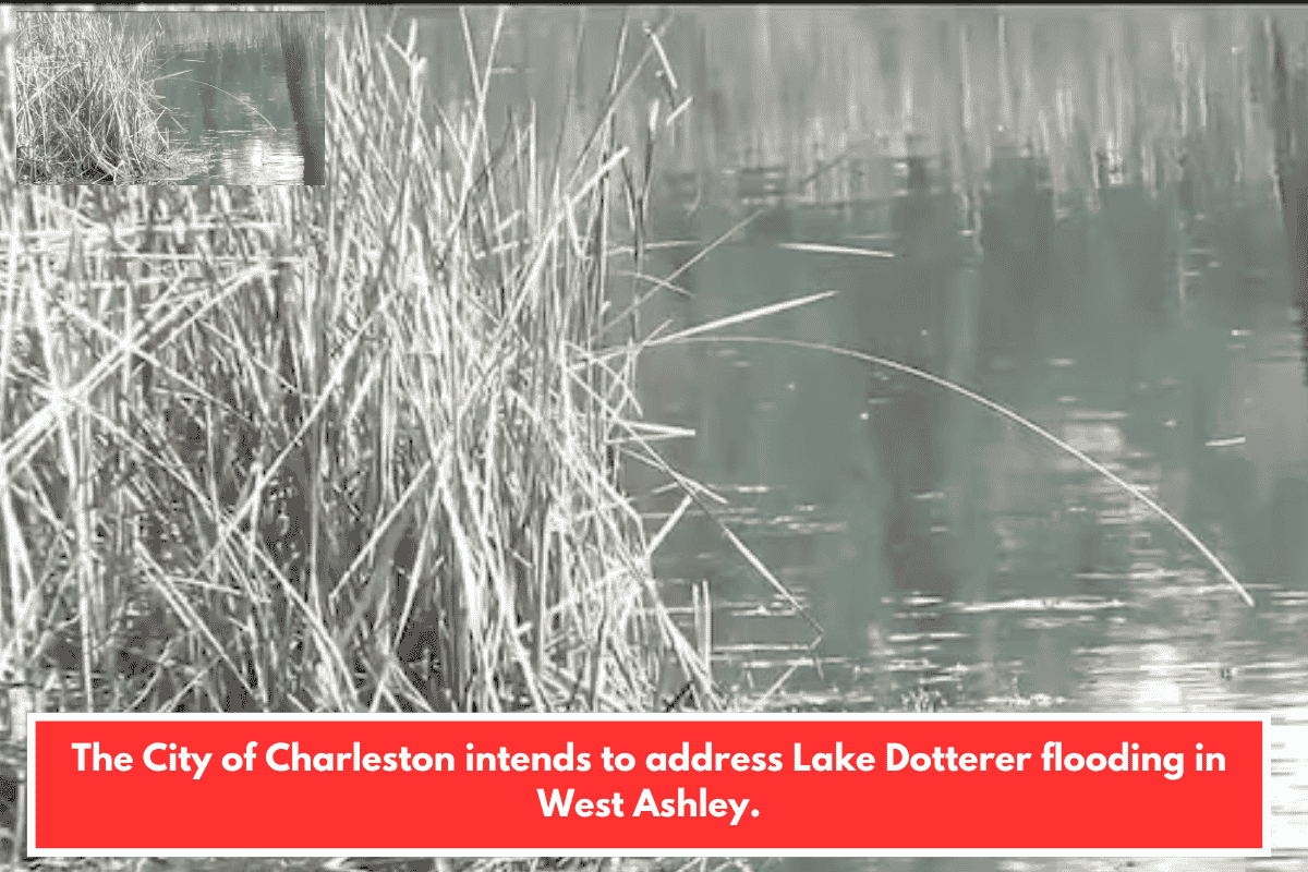 The City of Charleston intends to address Lake Dotterer flooding in West Ashley.