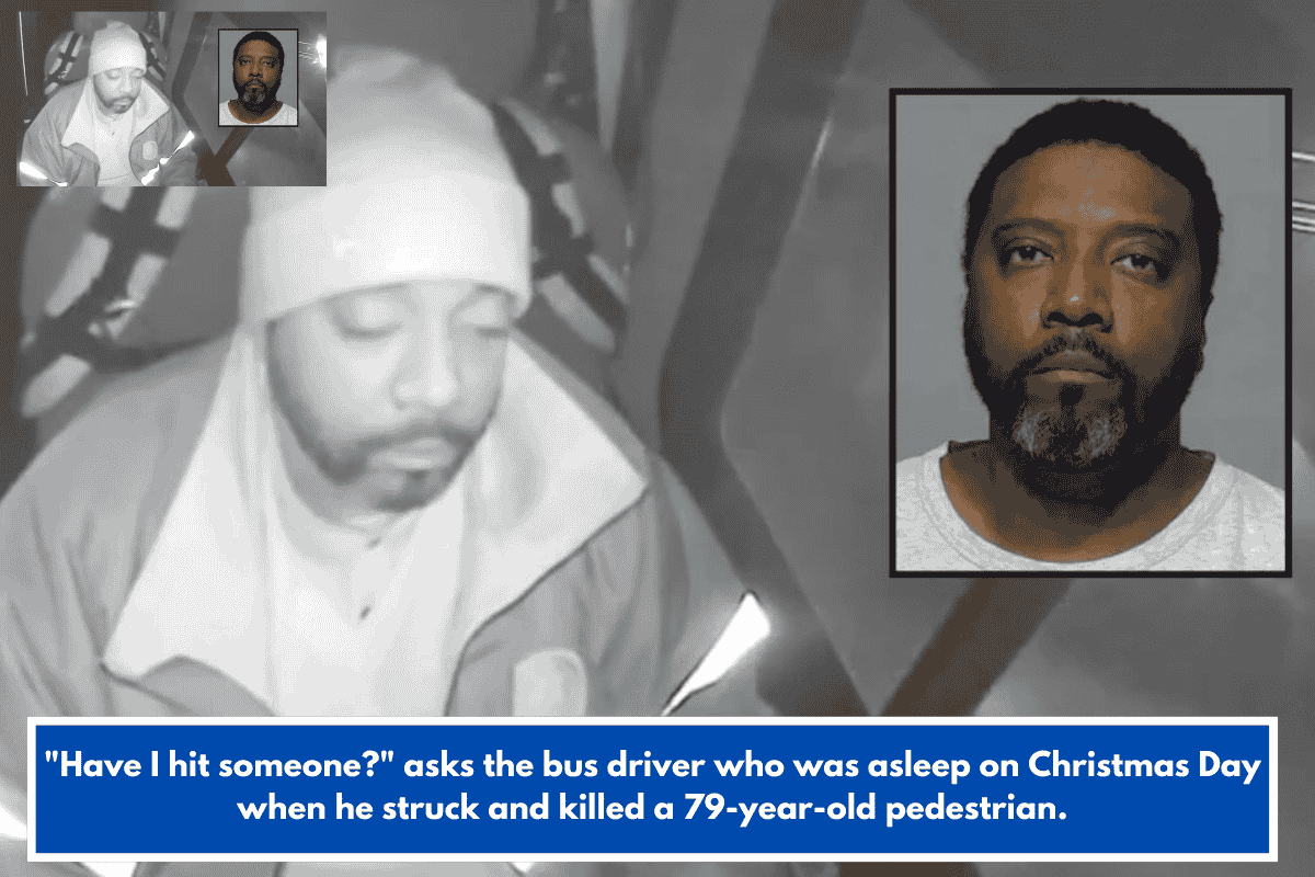 "Have I hit someone?" asks the bus driver who was asleep on Christmas Day when he struck and killed a 79-year-old pedestrian.