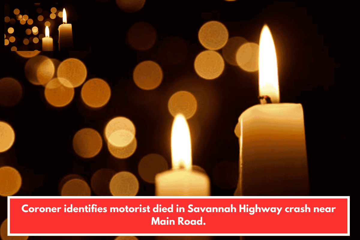 Coroner identifies motorist died in Savannah Highway crash near Main Road.