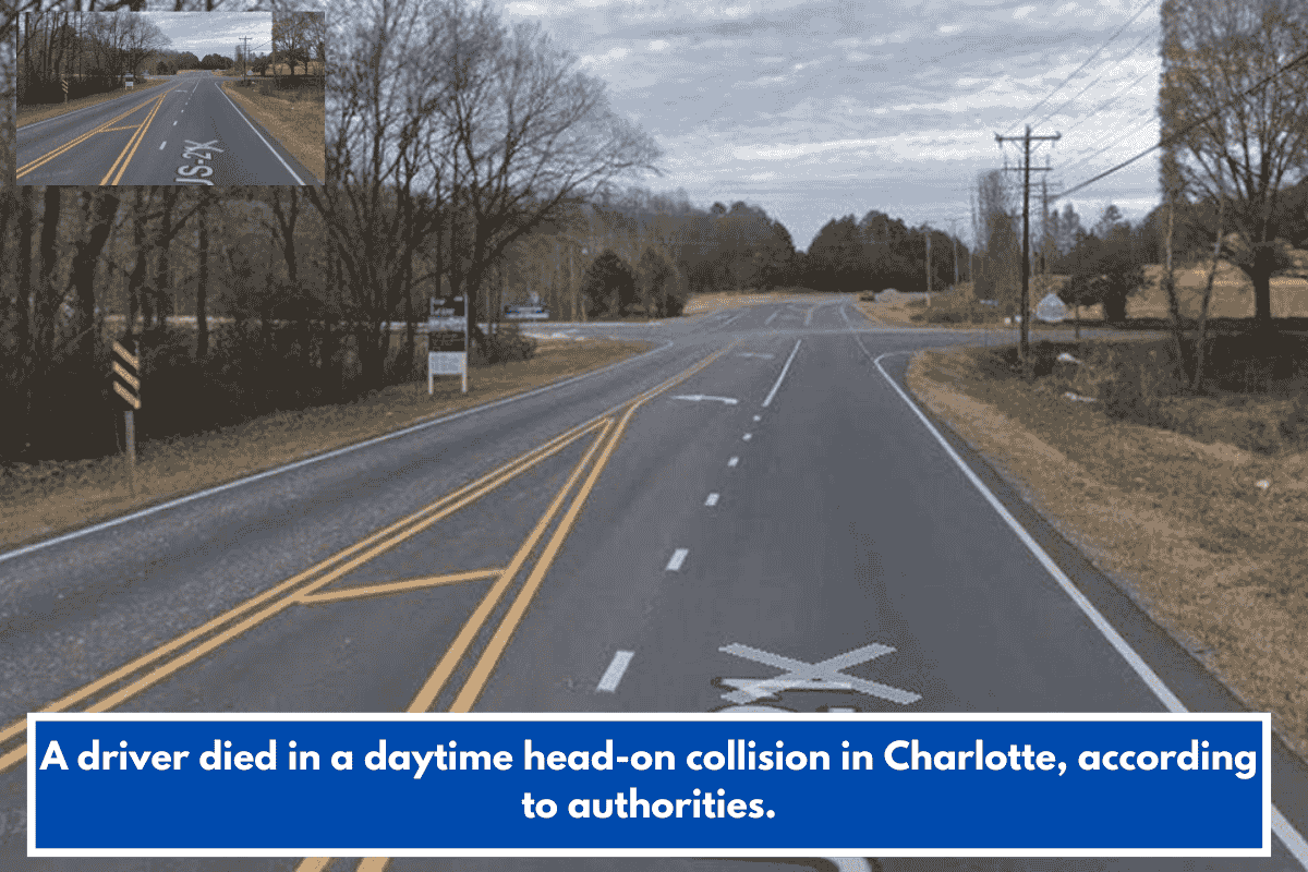 A driver died in a daytime head-on collision in Charlotte, according to authorities.