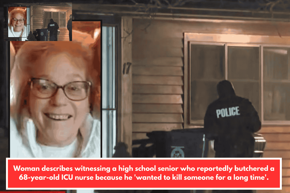 Woman describes witnessing a high school senior who reportedly butchered a 68-year-old ICU nurse because he 'wanted to kill someone for a long time'.