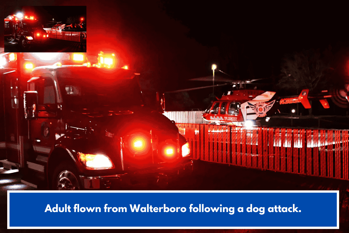 Adult flown from Walterboro following a dog attack.
